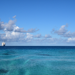 免费真人囗交视频
